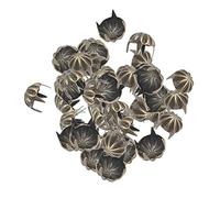 50 Pièces Pumpkin Claw Rivet Clous à Tiges Rivet Clous à Pointes Clous à Tête pour Customisation Création Artisanale Adaptée Aux Vêtements Sacs Ceintu, Bronze