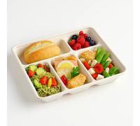 50 plateaux repas fibres végétal 5 compartiments 295x240 mm blanc