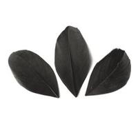 50 plumes coupées - Noir 6 cm Noir G