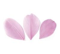 50 plumes coupées - Rose pâle 6 cm Rose G