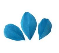 50 plumes coupées - Turquoise 6 cm