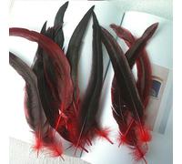 50 plumes de coq de 20 à 35 cm pour décoration de coiffes, mariage, loisirs créatifs, fêtes, carnaval - rouge - 8 à 50 pièces
