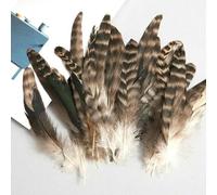 50 plumes de coq de 20 à 35 cm pour décoration de tête, mariage, loisirs créatifs, fêtes, carnaval et autres occasions spéciales. Plumes naturelles à travailler à la main.