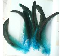 50 plumes de coq de 20 à 35 cm pour mariage, loisirs créatifs, bricolage, plumes naturelles, décoration de coiffes de fête, carnaval - bleu lac - 6 à 50 pièces