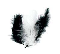 50 Plumes d'oiseaux camaïeu de Noir et Blanc