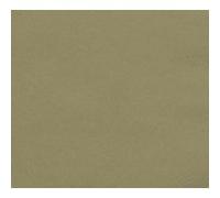 50 serviettes de table en papier or 33cm 2 plis G