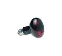 50 W Zoo med lampe spot infrarouge - Lampe chauffante infra-rouge nocturne