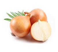 500+ Éléments d’Oignon Rustique, Balcon et Potager, Culture Précoce et Éclat Naturel Sans Contrainte