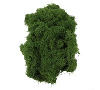 500 g de mousse artificielle réaliste de qualité supérieure pour loisirs créatifs, aménagement paysager, bonsaï, terrarium, décoration verte nécessitant peu d'entretien pour couronnes, dioramas, pots