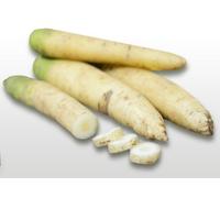 500 Graines À Semer - Le Grenier D'abondance - Carotte Blanche À Collet Vert - Daucus Carota