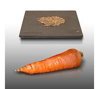 500 graines à semer - Le Grenier d'Abondance - CAROTTE De Chantenay à coeur rouge - Daucus Carota