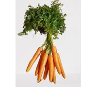 500 graines à semer - Le Grenier d'Abondance - CAROTTE Potagère Rothild Améliorée - Daucus Carota
