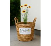 500 graines à semer - Le Grenier d'Abondance - Coreopsis des Teinturiers - Coreopsis tinctoria