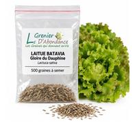 500 graines à semer - Le Grenier d'Abondance - LAITUE BATAVIA Gloire du Dauphine - Lactuca sativa