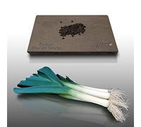 500 graines à semer - Le Grenier d'Abondance - POIREAU Bleu de Solaise - Allium porrum