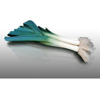 500 Graines À Semer - Le Grenier D'abondance - Poireau Bleu De Solaise - Allium Porrum
