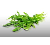 500 Graines Bio À Semer - Le Grenier D'abondance - Roquette - Certifié Ab - Eruca Stiva
