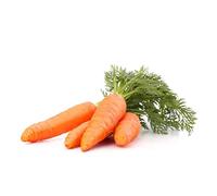 500 graines CAROTTE BERLICUM 2 gros rendement ** Planète Graines **