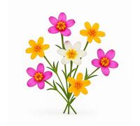 500 Graines de Belle Californienne (Leptosiphon linanthus androsaceus) - SemiSauvage Permaculture - graines reproductibles