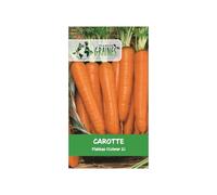 500 graines de carotte flakkee - colmar 2 - saveur douce - carotte avec forme réguliere