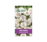 500 graines de centaurée des champs snowman (bleuet blanc) - centaurea cyanus - fleur sauvage blanche pure pour bouquets - annuelle