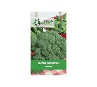 500 Graines de Chou Brocoli Calabrais - Très facile à Cultiver - Récolte Généreuse