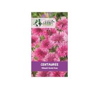 500 graines de fleurs centaurée cyanus boule rose - bleuet rose double annuel champêtre pour massifs, fleurs coupées et jardins