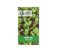 500 Graines de mesclun Mélange de jeunes pousses pour salades variées - facile à cultiver - croissance rapide