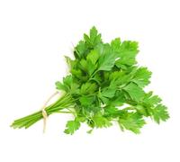 500 Graines de Persil Plat - plante aromatique - légumes potager méthode BIO