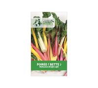 500 Graines de Poirée Multicolore Bright Lights - Bettes aux Cardes Colorées - Légume Facile à Cultiver pour le Jardin