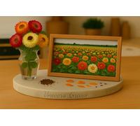 500 Graines Immortelle à bractées - FLEUR DE PAILLE - Helichrysum bracteatum - Mix de couleurs - Fleur Jardin - 427