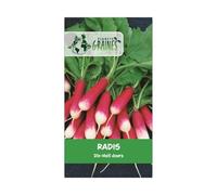 500 graines radis 18 jours demi long - radis rouge - croissance rapide -