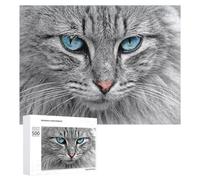 500 PCS Puzzles pour Adolescents Blue-Eyed Fluffy Cat Close-Up Jeux De Puzzle Relaxants, Amusants Et Humoristiques : des Cadeaux d'anniversaire Et De Noël Uniques 500 PCS