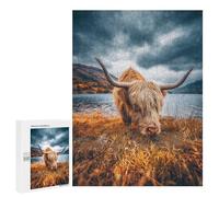 500 PCS Puzzles pour Adolescents Scottish Highland Cow Grazing by Lake Puzzles pour Adultes Assemblage De Motifs Stimule Le Cerveau Jeux Et Jouets Stimulants 500 PCS
