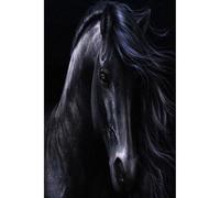 500 pièces (52x38cm) Animal World Adult Dark Horse Head Puzzle, Jeux de Puzzle pour Jeunes et Enfants et Jouets de défi intellectuel Numéro