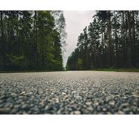 500 Pièces Jigsaw Puzzle - Convient pour Les Adultes - Route Arbres Gros Plan 52x38cm