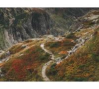 500 Pièces Jigsaw Puzzle - Convient pour Les Adultes - Vue aérienne du Chemin des Montagnes 52x38cm