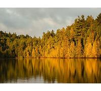 500 Pièces Puzzle DIY Jeu D'Intelligence Jeu Cadeau Unique - forêts Arbres lac 52x38cm