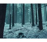 500 Pièces Puzzle DIY Jeu D'Intelligence Jeu Cadeau Unique - forêts Arbres Neige 52x38cm