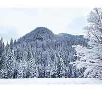 500 Pièces Puzzle DIY Jeu D'Intelligence Jeu Cadeau Unique - forêts Arbres Neige 52x38cm