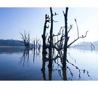500 Pièces Puzzle DIY Jeu D'Intelligence Jeu Cadeau Unique - Lac Arbres Eau 52x38cm