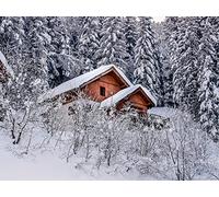 500 Pièces Puzzle DIY Jeu D'Intelligence Jeu Cadeau Unique - Maison Arbres Neige 52x38cm