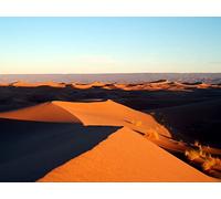 500 Pièces Puzzle DIY Jeu D'Intelligence Jeu Cadeau Unique - Maroc Afrique désert 52x38cm