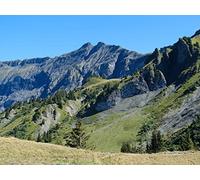 500 Pièces Puzzle DIY Jeu D'Intelligence Jeu Cadeau Unique - Montagnes Relief Arbres 52x38cm