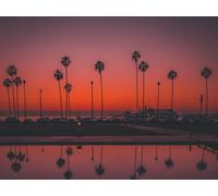 500 Pièces Puzzle DIY Jeu D'Intelligence Jeu Cadeau Unique - Palmiers Coucher de Soleil san Diego 52x38cm