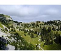 500 Pièces Puzzle DIY Jeu D'Intelligence Jeu Cadeau Unique - Pente des Arbres de Montagne 52x38cm