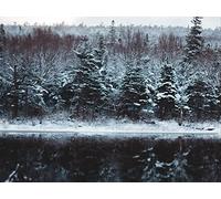500 Pièces Puzzle DIY Jeu D'Intelligence Jeu Cadeau Unique - Rivière Arbres Neige 52x38cm