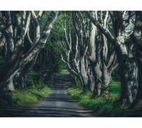 500 Pièces Puzzle DIY Jeu D'Intelligence Jeu Cadeau Unique - Route Arbres Branches 52x38cm