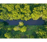 500 Pièces Puzzle DIY Jeu D'Intelligence Jeu Cadeau Unique - Vue aérienne des Arbres de la rivière 52x38cm