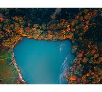 500 Pièces Puzzle DIY Jeu D'Intelligence Jeu Cadeau Unique - Vue aérienne du lac et des Arbres 52x38cm